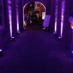 IMG_1637 IMG_1637